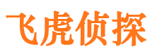 中沙市侦探调查公司